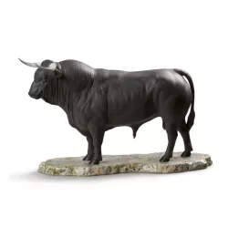 TORO SPAGNOLO 1009239