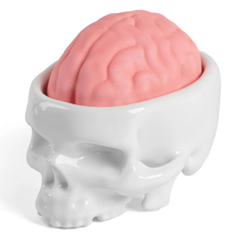 SOAP HOLDER, BRAINWASH 13501