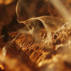 EAU DE PARFUM, INTRIGO