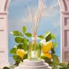 HOME FRAGRANCE LIMONE CEDRATO