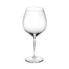 BURGUNDY WINE GLASS, 100 POINTS 10331800