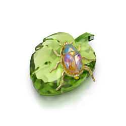 BEETLE ON LEAF, 5668764 SCS