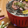 PORTABLE GRILL & BARBECUE