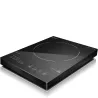 INDUCTION COOKTOP PRO MENU 2100 2224