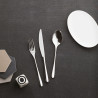 CUTLERY SET, TASTE