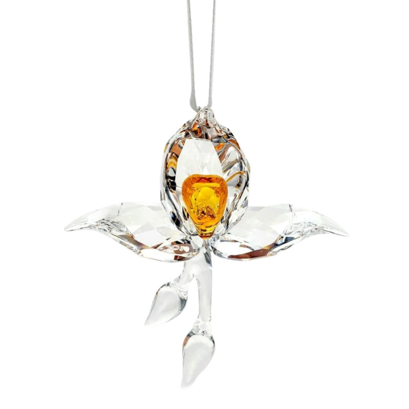 AFRICAN ORCHID, 5301554 SCS