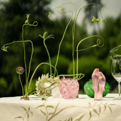 CRYSTAL VASE, TOURBILLONS