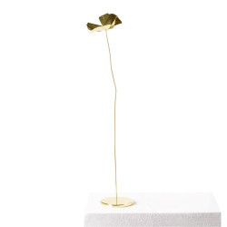 FIORE OTTONE PAPAVERO47G