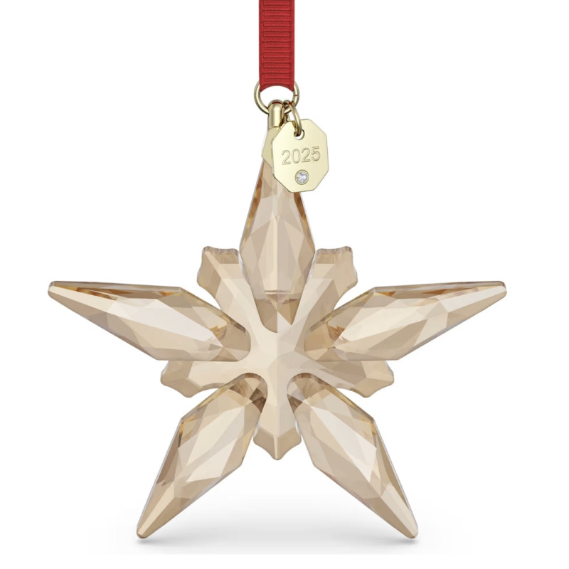 DECORAZIONE FESTIVE 2025 EDIZIONE ANNUALE 5701826