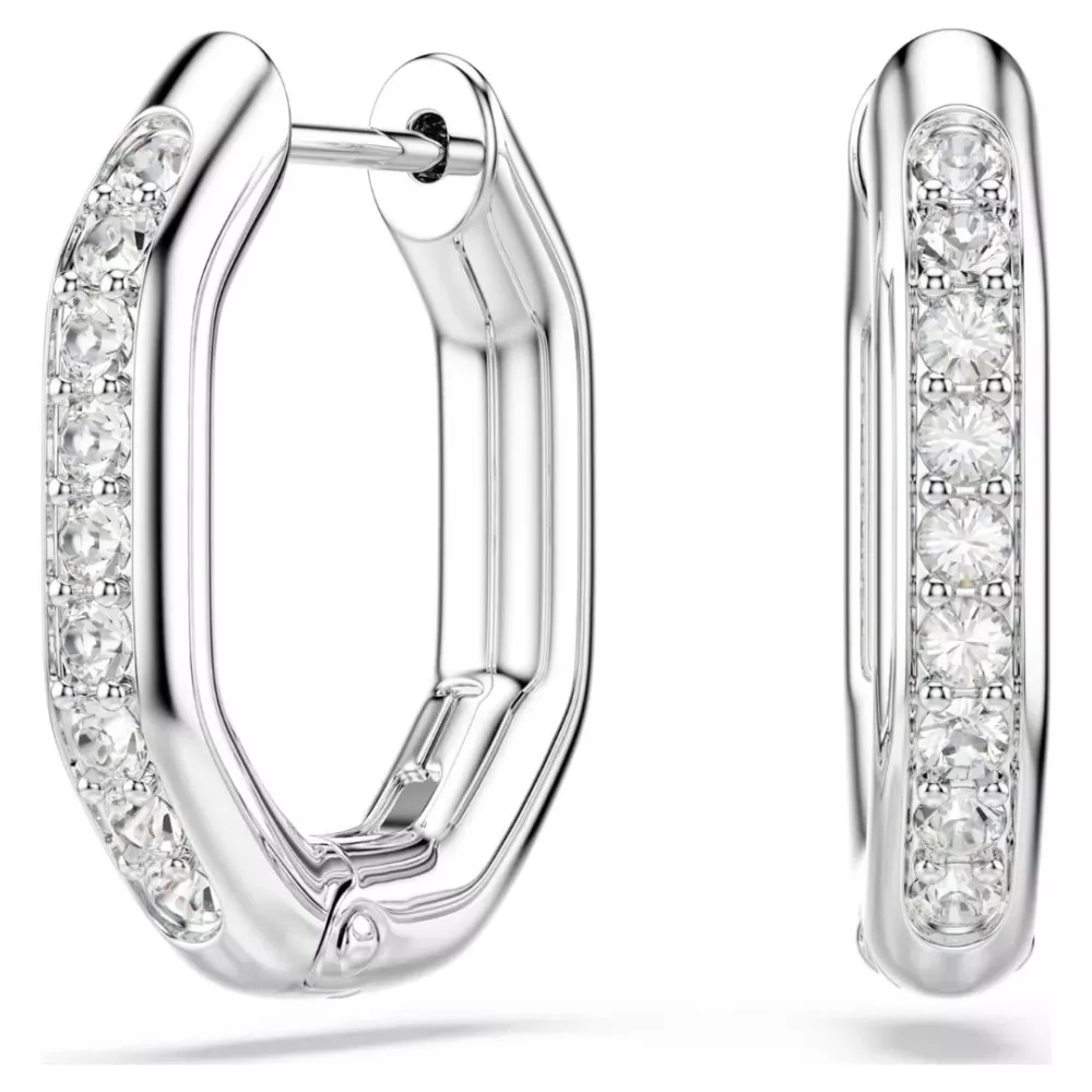DEXTERA HOOP EARRINGS 5724585