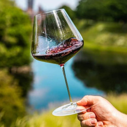 CALICE VINO BORGOGNA 960 ML, 11100