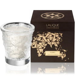 VASO CON CANDELA PROFUMATA, FORESTA B14300