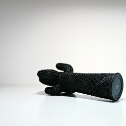 APPENDIABITI ANOTHER CACTUS