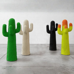 APPENDIABITI ANOTHER CACTUS