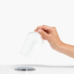 BELL JAR DISPLAY SMALL 5553155