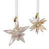 3D FESTIVE DECORATION SET 5701824 ED.2025 GOLD