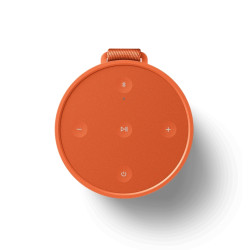 DIFFUSORE AUDIO BEOSOUND A1