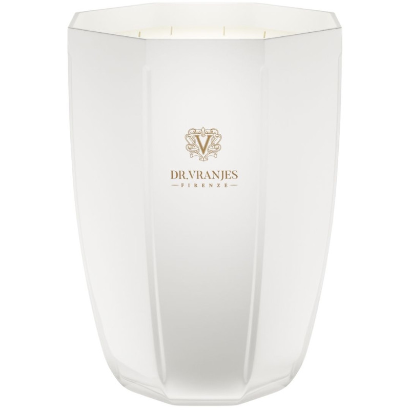 CANDELA PROFUMATA GINGER & LIME, VASO ONICE