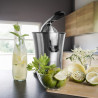 DESIGN CITRUS JUICER - CP 300-  3550