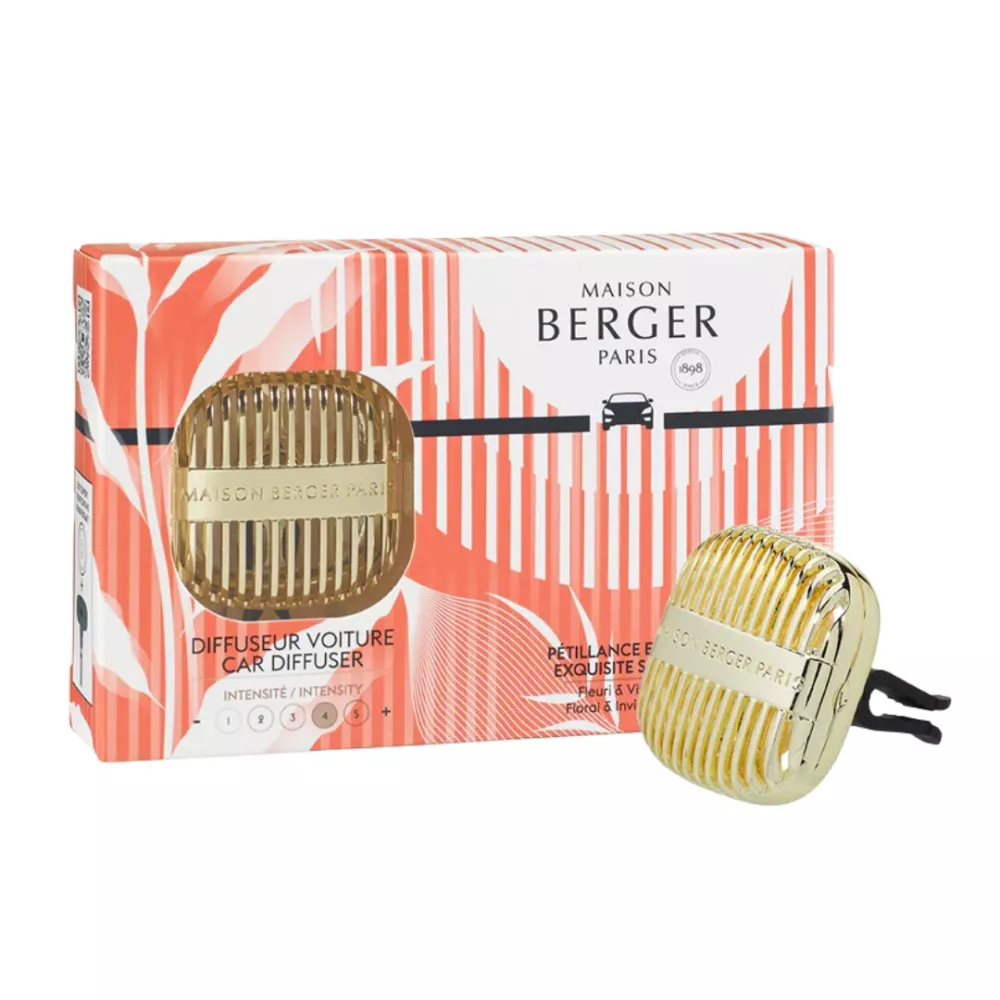 CONFEZIONE DIFFUSORE AUTO +RICARICA 7798 CANNELO