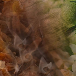 OUD NOBILE SCENTED CANDLE, GOLDEN VASE