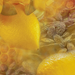 HONEY & LEMON HAND SOAP, 410 ML