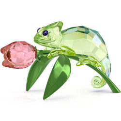 TULIP AND CHAMELEON,...