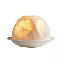 MAGNOLIA LITHOPHAN 2127-6260