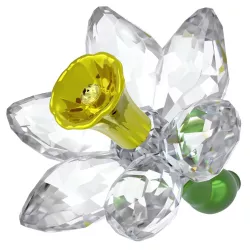 FLORERE DAFFODIL 5721540