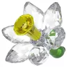 NARCISO FLORERE 5721540