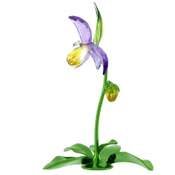 FLORERE LADY SLIPPER ORCHID, IDYLLIA 5721548