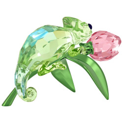 TULIP AND CHAMELEON, IDYLLIA 5719811