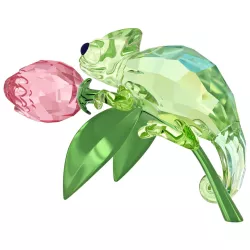 TULIP AND CHAMELEON, IDYLLIA 5719811