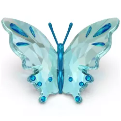 TURQUOISE BUTTERFLY,...