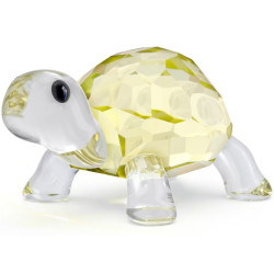 BABY TARTARUGA, IDYLLIA...