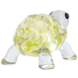 BABY TURTLE, IDYLLIA 5721550