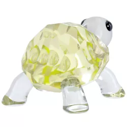 BABY TURTLE, IDYLLIA 5721550