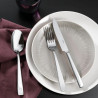 CUTLERY SET, FLAT